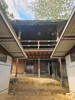 Tiger homestay 2 Phayam - 8