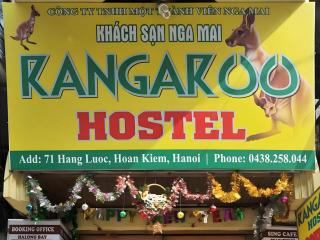 Kangaroo Hostel - 4