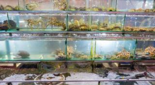 Castaways Resort Phu Quoc - 9