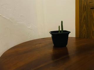 Shantha Surf Villa - 6