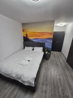 Panoramic View Bran - Apartament - 3