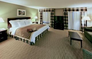 MainStay Suites Addison-Dallas - Addison - 6