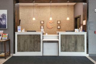 Comfort Inn & Suites - 7