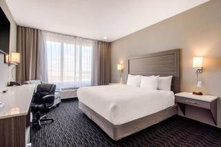 Comfort Inn & Suites - 5