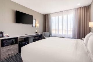 Comfort Inn & Suites - 4