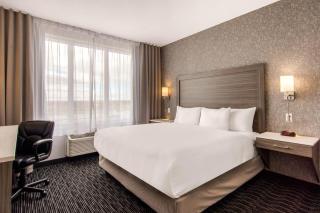 Comfort Inn & Suites - 1