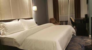 Jinjiang Metropolo Hotel Nanjing Confucius Temple Branch - 2