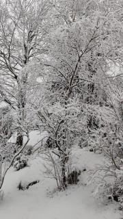 Kuća za odmor Iva - 9