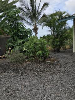 Ohana Pua Hale - Kailua-Kona - 1