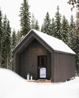 Silencius Cabin With Private Jacuzzi - 8