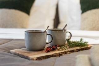 Silencius Cabin With Private Jacuzzi - 7