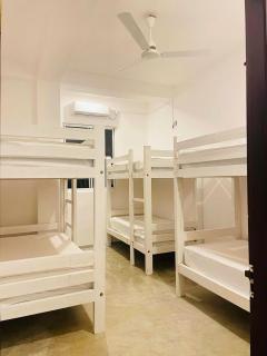 Kuchu surf hostel - 4