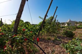Borgo Del Tempo Ritrovato - Luxury Relais in Puglia - 3