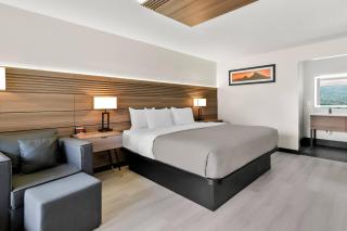 Quality Inn and Suites - 1