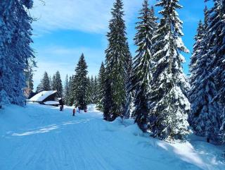 Apartman 306 Aparthotel Vučko Jahorina - 9