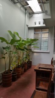 MY CHINAMAN'S HOME II - George Town - 9