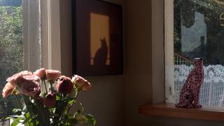 HangZhou West Lake Hillside Stay - 4