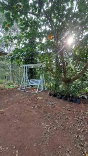 Eco friendly home stay - 1