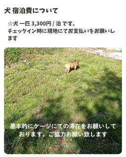 横城ゲストハウス 自然豊かなプライベート空間 古民家一棟貸しの宿 - 3