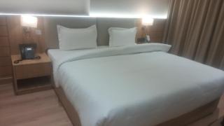 Hotel Alpine, Aligarh - 5