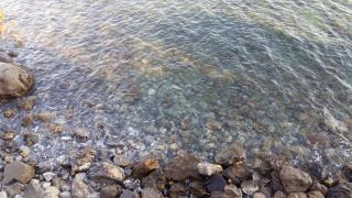 Il Nido Sul Mare - Pioppi - 9