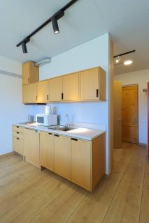 Spacious and Stylish Apartment In New Gudauri - 7