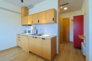 Spacious and Stylish Apartment In New Gudauri - 5