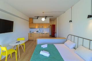 Spacious and Stylish Apartment In New Gudauri - 4