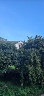 Landzeit Niedergräfenhain - 1