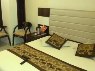 Saffron Inn-Near New Delhi Railway Station - 1