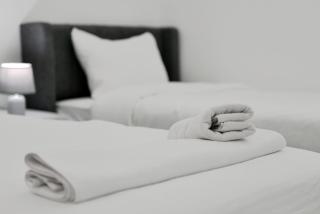 Rose In Apartment - 3