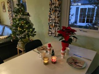 Ruim en modern chalet in de Veluwse bossen - 9