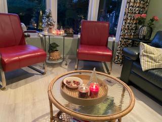 Ruim en modern chalet in de Veluwse bossen - 5