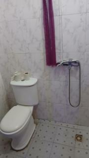 Guest Apartments - 9