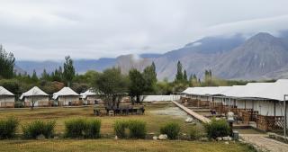 Nubra Ethnic Camp , Hunder - 1