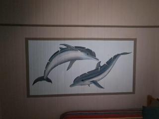 Sea Lions Den Backpackers - 1