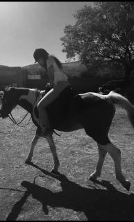 VinVid Harties Guest House - 3