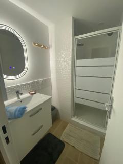 Le carpe diem T2 piscine climatisation parking - 2