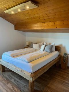 Castle and Alps Appartement - 2