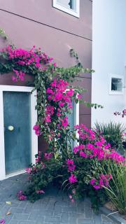 Raio de sol em Salinas - 8