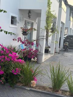 Raio de sol em Salinas - 7