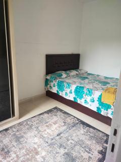 حدائق اكتوبر - 7