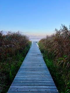 Finnhütte Louise am Storkower See - 9