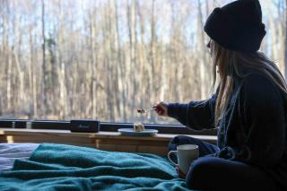 Here & Now Forest Cabin - 3