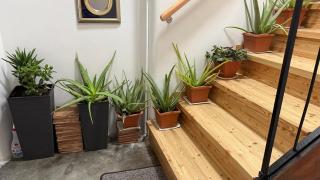 Casa E&E Appartamento moderno a Borgo Valsugana - 2