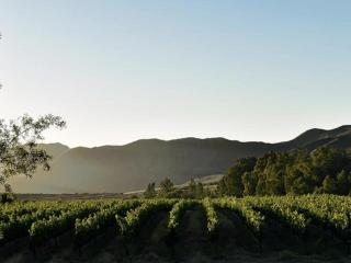 Arendsig Wine Estate and River Eco Cabin - 0