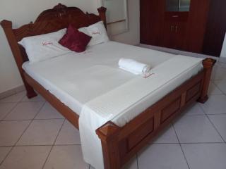 Fully Furnished rooms in an apartment near down town TF1 - 1