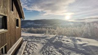 Simple Cabin Life In This Nature Cabin - 6