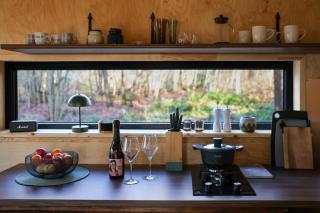 Here & Now Forest Cabin - 5