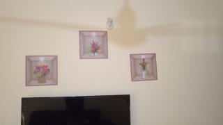 Bima Executive Homes - 8